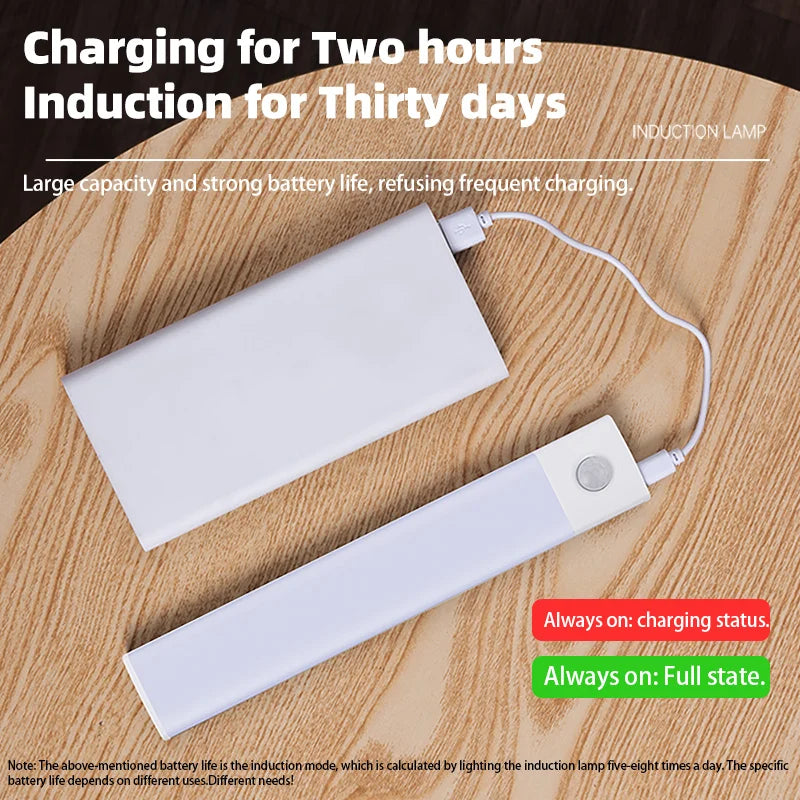 Motion Sensor LED Lights